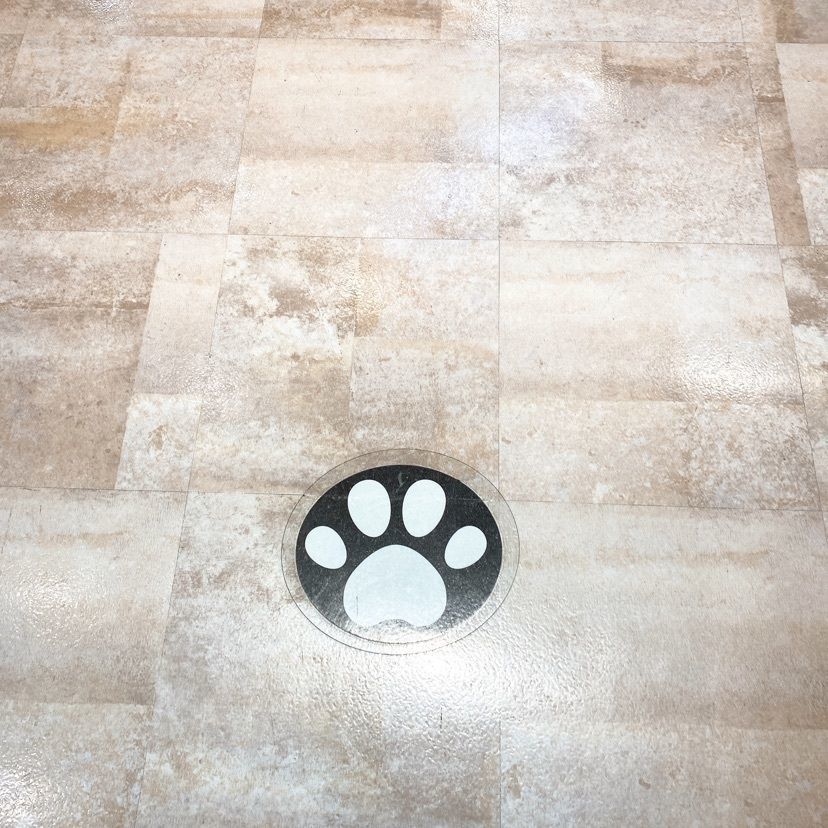 🤎アイヒンまま🤎さんが投稿したヤオコー 新浦安店に関する口コミの画像