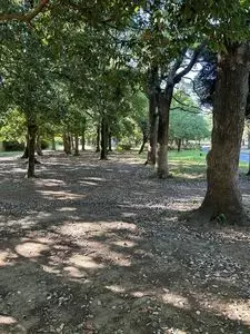 岸根公園