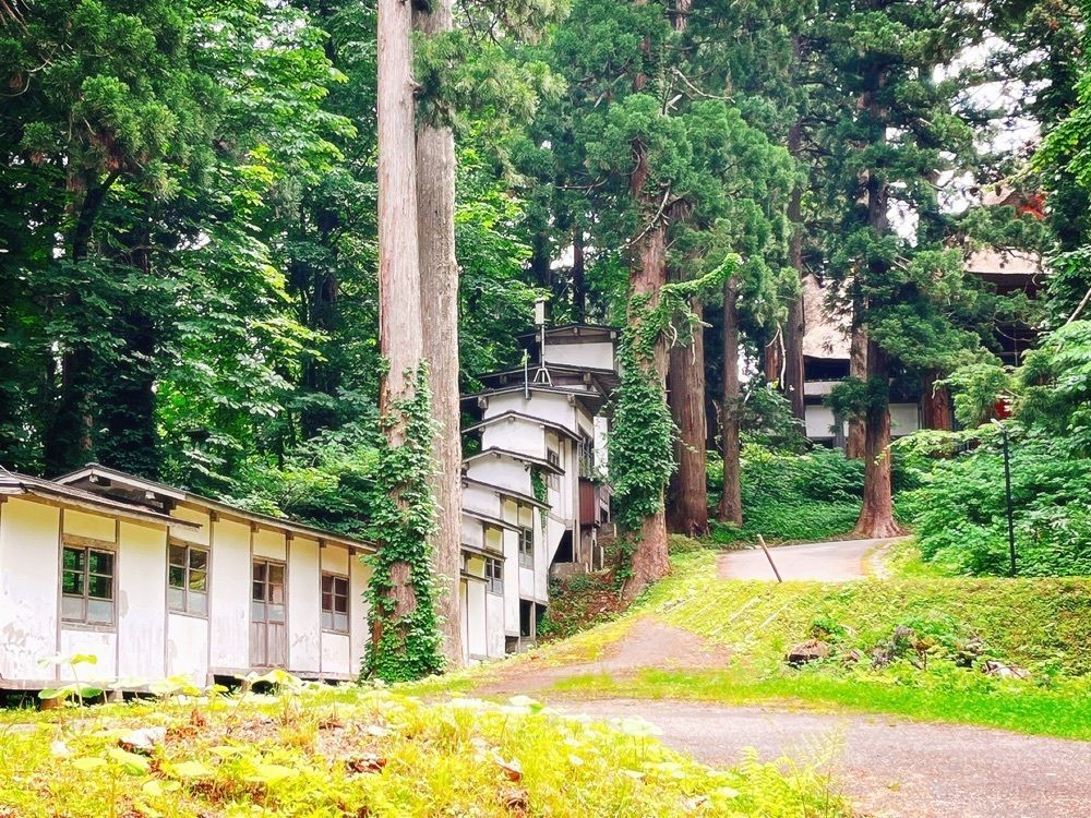 猫なぎ。さんが投稿した羽黒山 斎館（ハグロサン サイカン）に関する口コミの画像