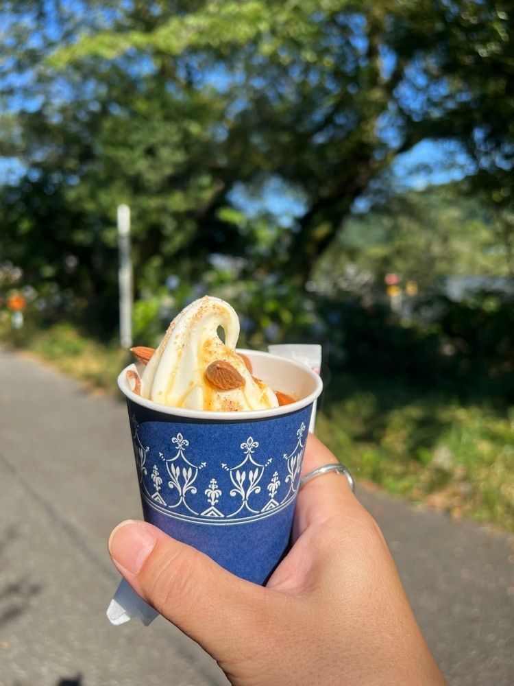 サブ&クルさんが投稿したやまきたさくらカフェに関する口コミの画像