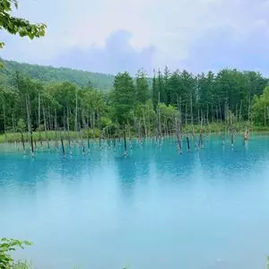 白金青い池
