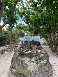 新城海岸