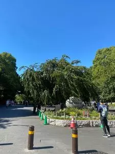 上野公園