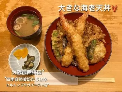 四季自然喰処たちばな ヒルトンプラザイースト店
