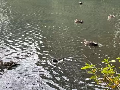 蚕糸の森公園