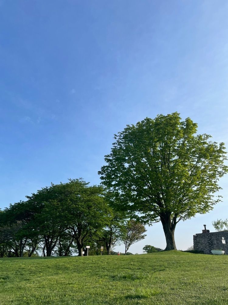 Have a good day :)さんが投稿したNASU FARM VILLAGEに関する口コミの画像