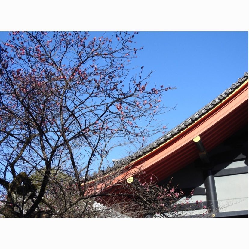junkunさんが投稿した多摩都市モノレール高幡不動駅に関する口コミの画像