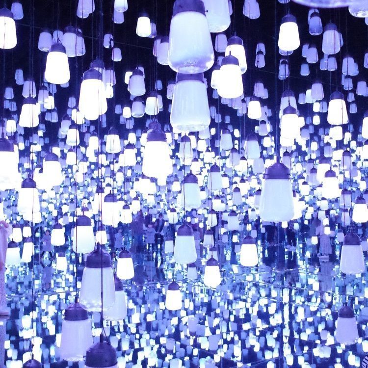sacamoの画像