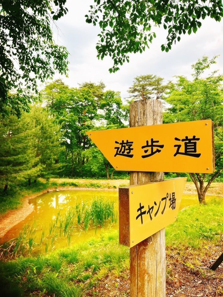 猫なぎ。さんが投稿した大山自然公園に関する口コミの画像