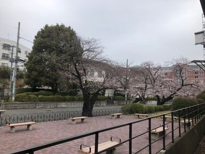 玉川学園前駅