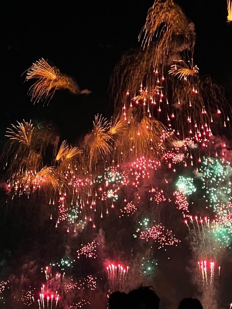 🤎アイヒンまま🤎さんが投稿した篠崎公園に関する口コミの画像