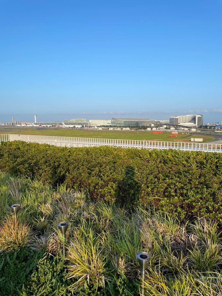 志保さんが投稿したZepp Hanedaに関する口コミの画像