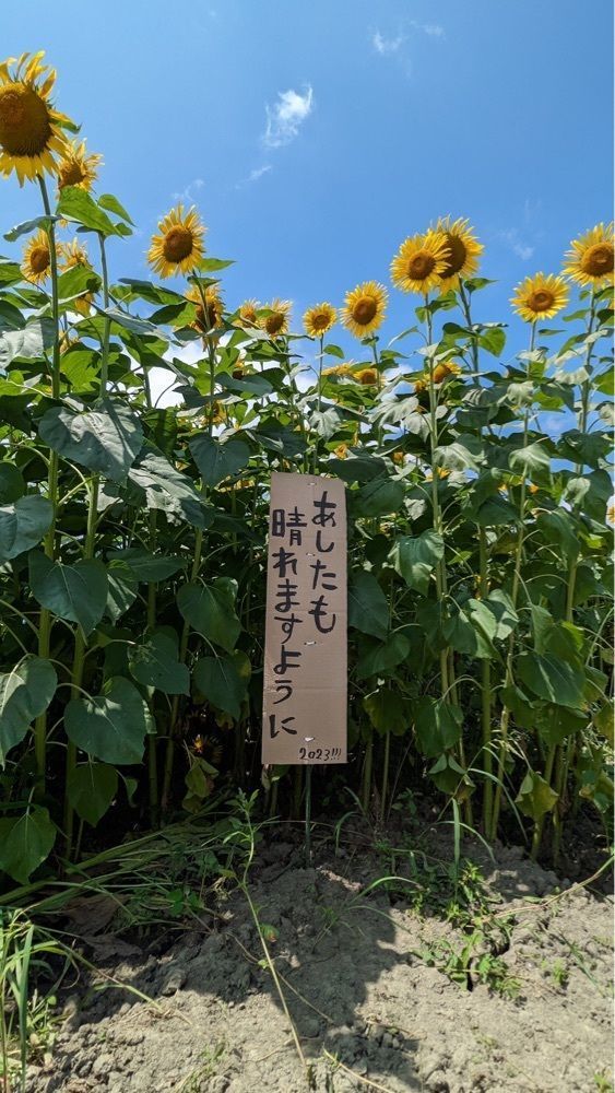 shin-emonさんさんが投稿した大中垣見イチゴ園に関する口コミの画像