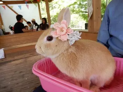伊香保グリーン牧場