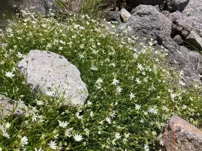 白山室堂（ビジターセンター）