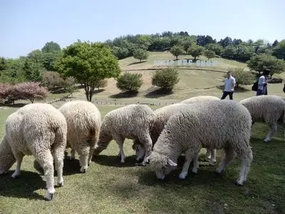 伊香保グリーン牧場