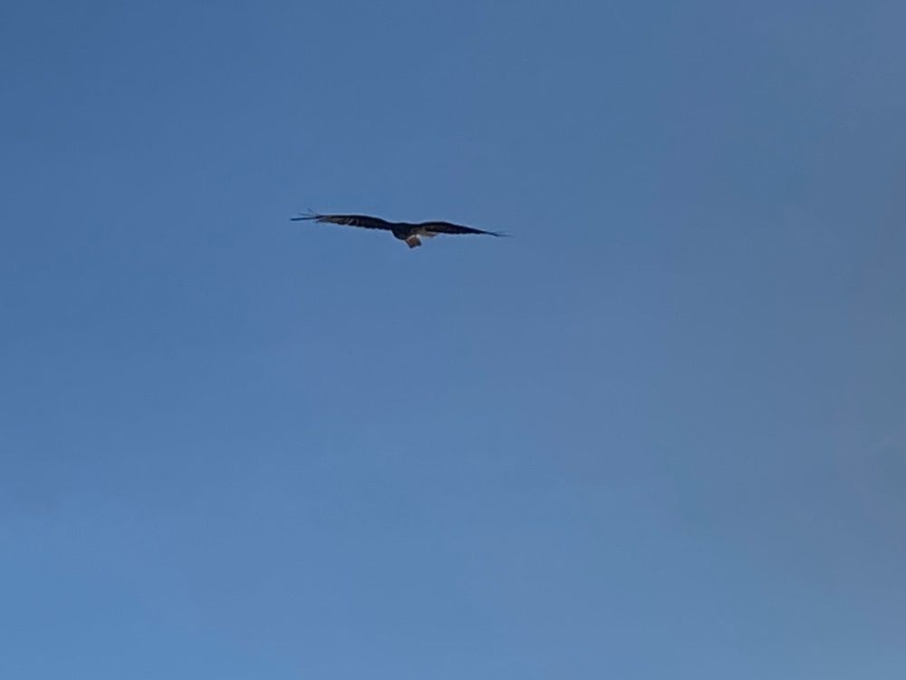 Howl Monさんが投稿した手取川ダム展示館に関する口コミの画像