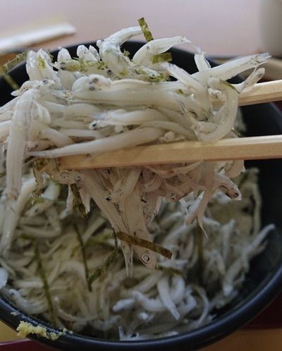 ＤＪゴン太さんが投稿した産直市場よってって 道の駅みさき店に関する口コミの画像