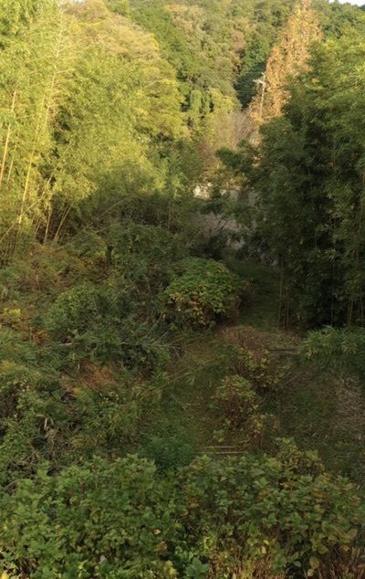 ＤＪゴン太さんが投稿した道の駅 近つ飛鳥の里・太子に関する口コミの画像