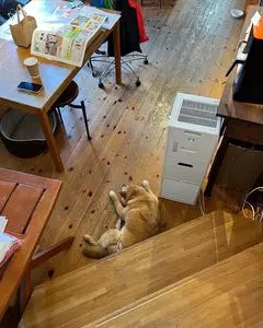 タワーコーヒー 3枚目