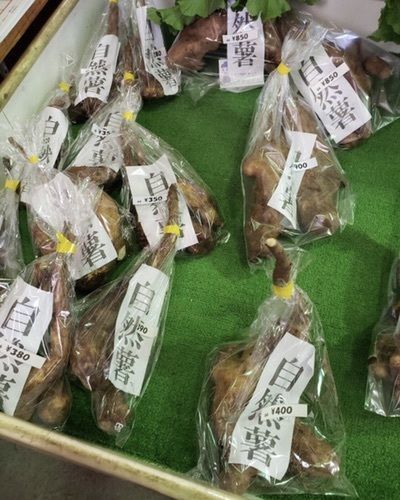 ＤＪゴン太さんが投稿した道の駅 近つ飛鳥の里・太子に関する口コミの画像