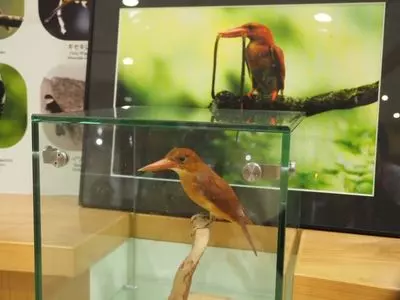白山自然保護センター中宮展示館