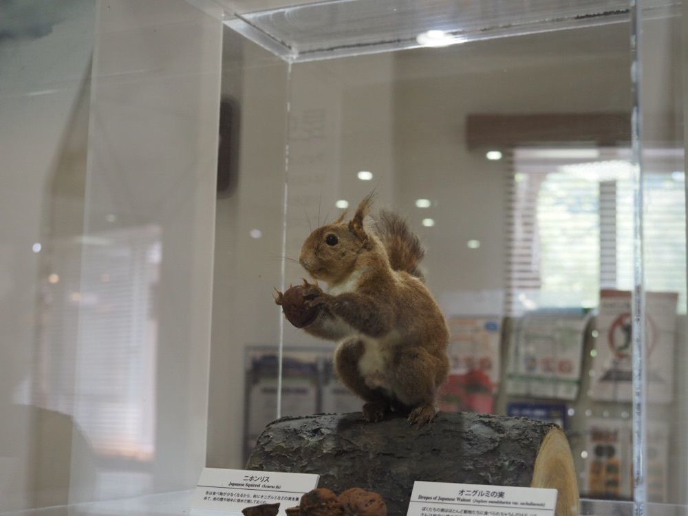 Howl Monさんが投稿した白山自然保護センター中宮展示館に関する口コミの画像
