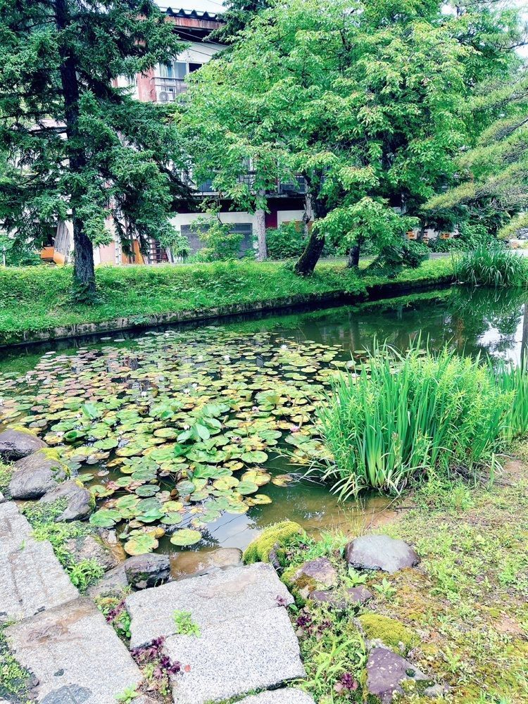 猫なぎ。さんが投稿した松葉荘に関する口コミの画像