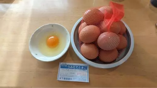 木下養鶏園