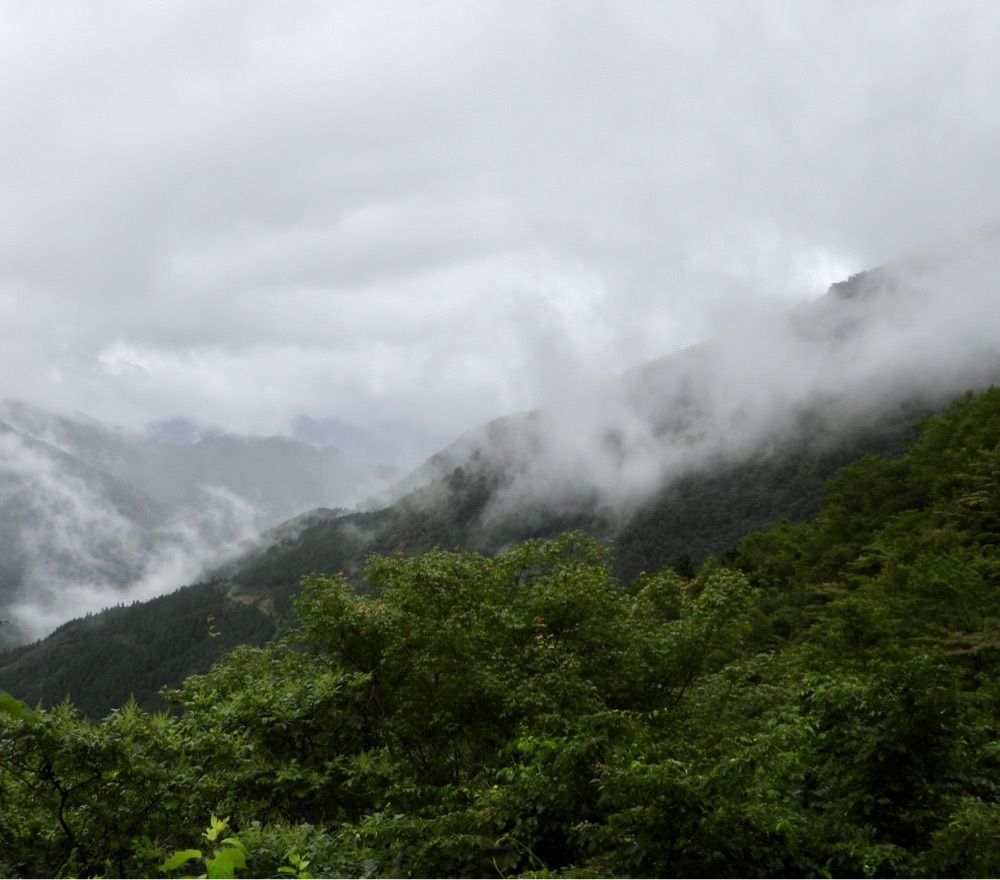 calm_gift_1030さんが投稿した瓶ヶ森（愛媛県西条市）に関する口コミの画像