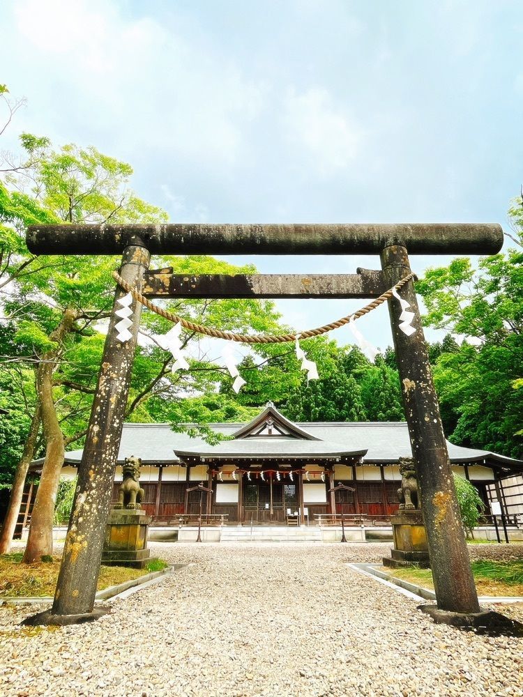 猫なぎ。さんが投稿した北舘神社に関する口コミの画像