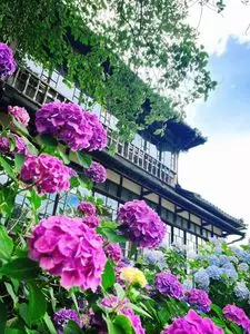 山神社