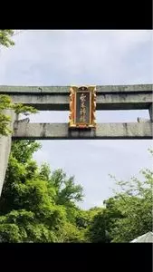 梨木神社の萩