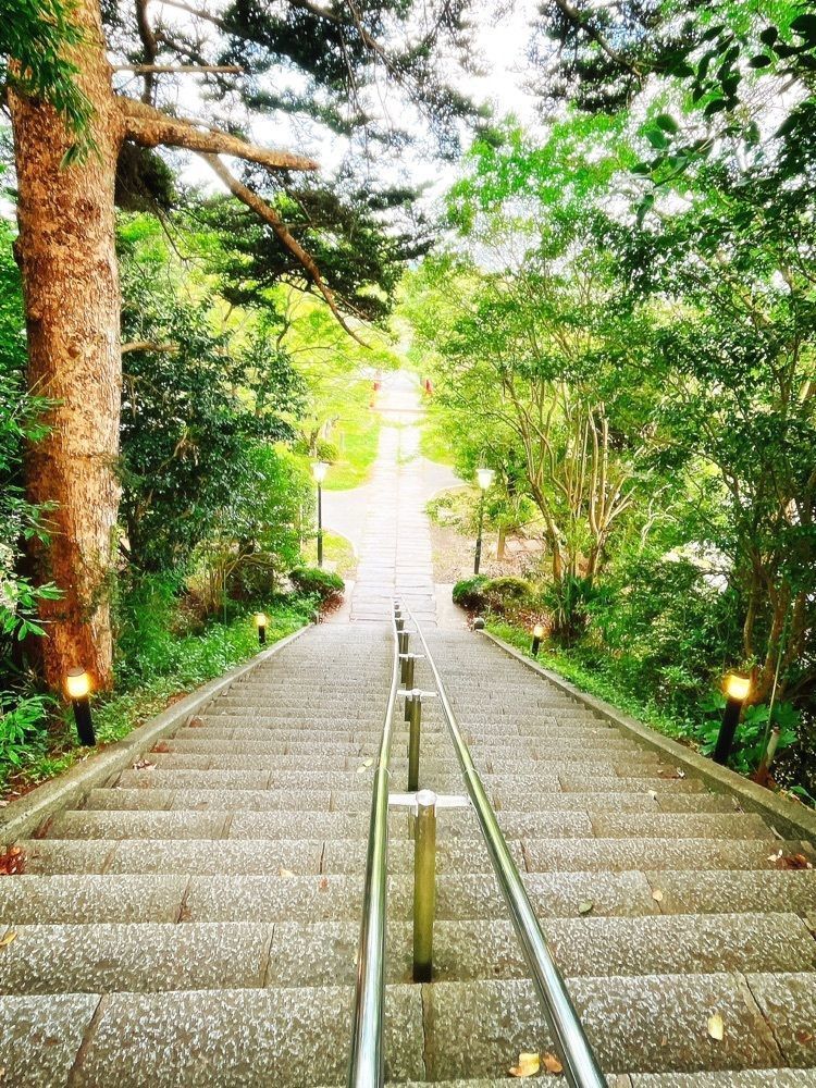 猫なぎ。さんが投稿した涌谷神社に関する口コミの画像