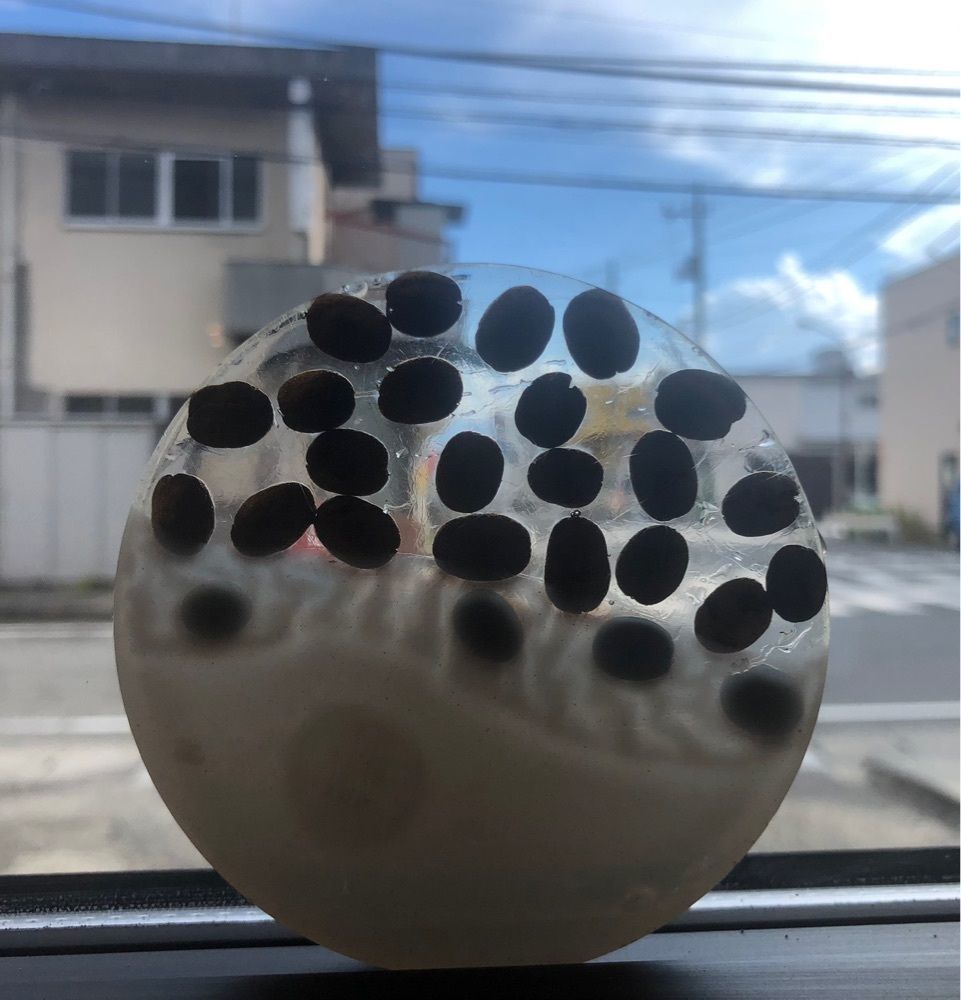 take.aさんが投稿したthe;kokubo（ザ コクボ）に関する口コミの画像