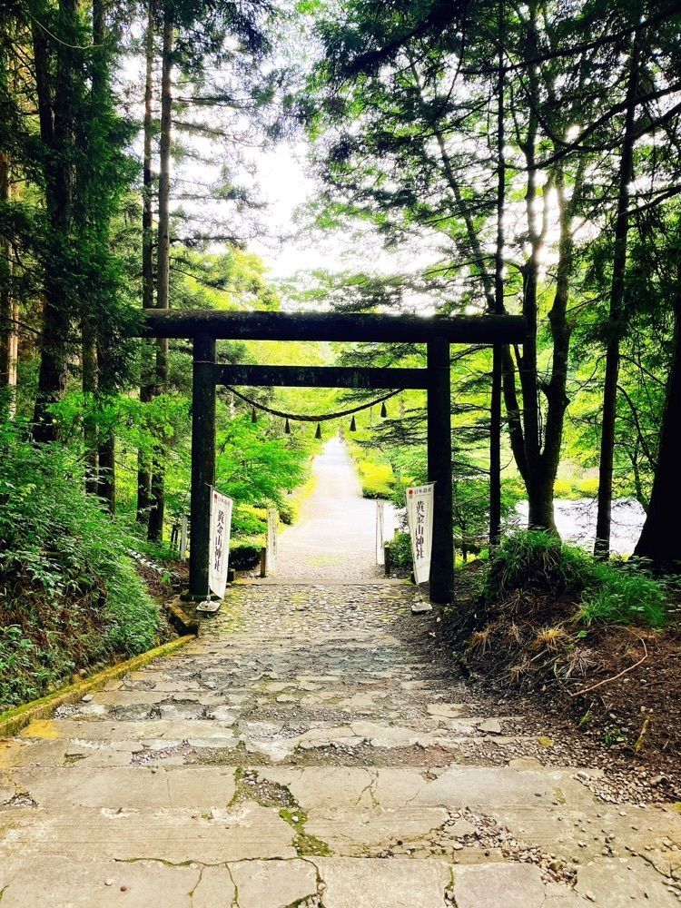 猫なぎ。さんが投稿した黄金山神社に関する口コミの画像