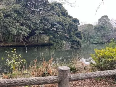 和田堀公園