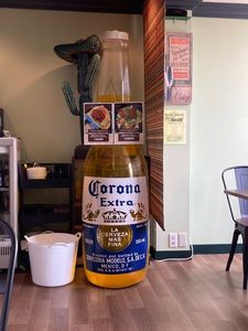 ダックテール 8枚目