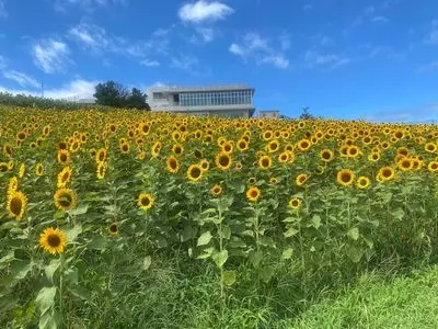 あわじ花さじき