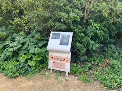 ヌドクビアブ 1枚目