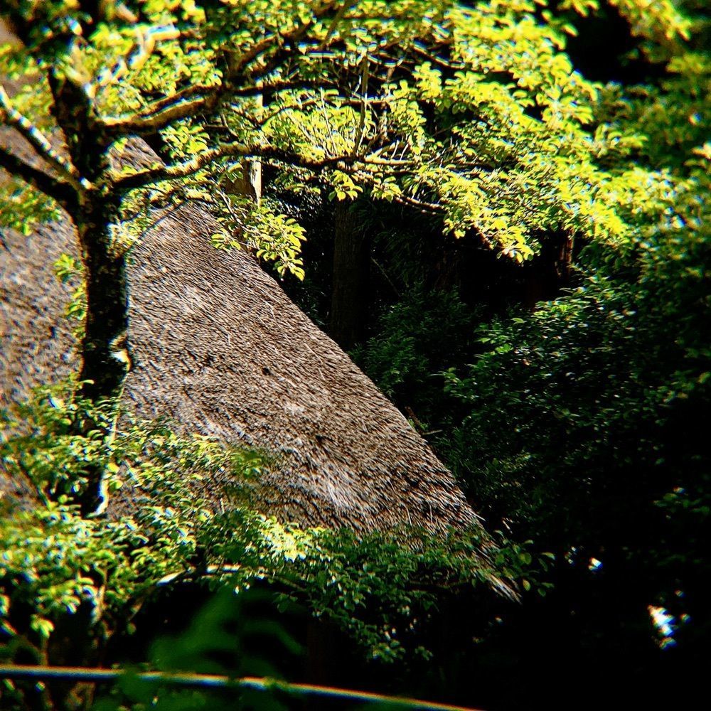 兎きちさんが投稿した旧黒木家住宅に関する口コミの画像
