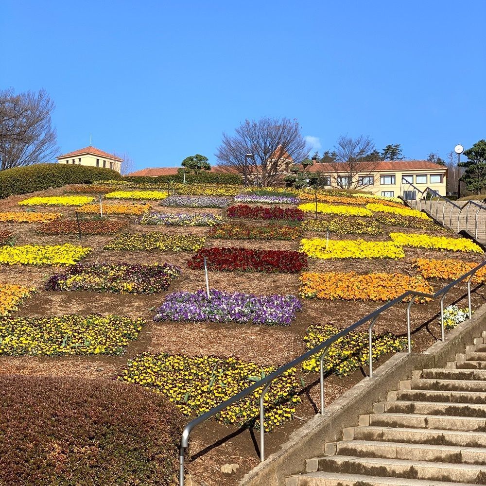 yokomanの画像