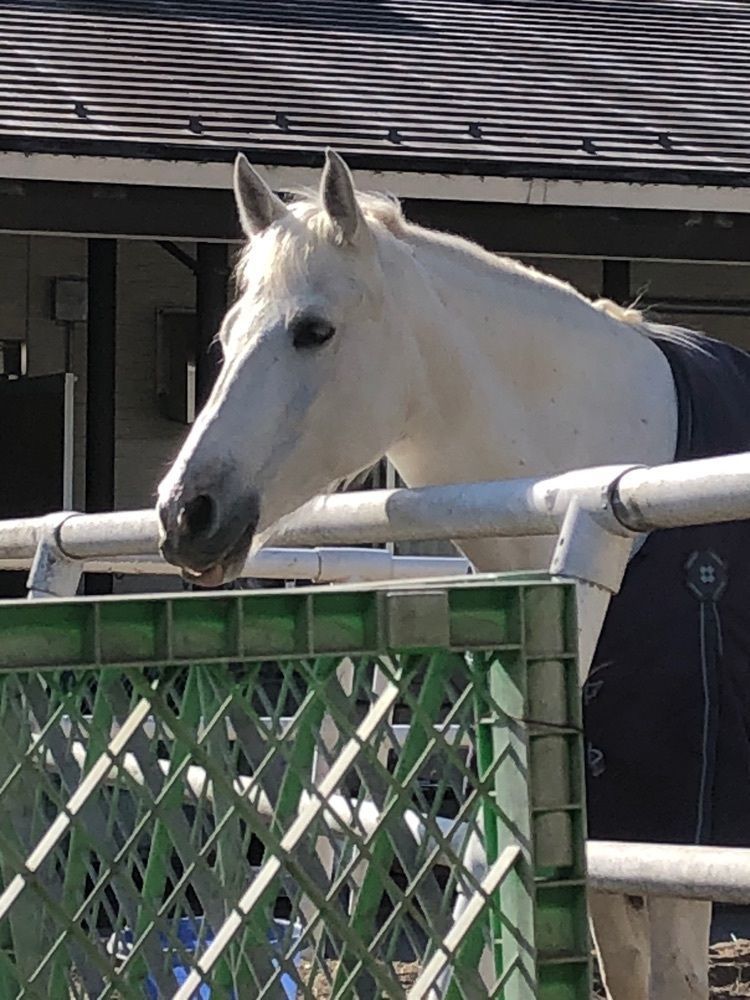 キミちゃんさんが投稿したホテルオークラ　レストラン府中 （東京競馬場内）に関する口コミの画像