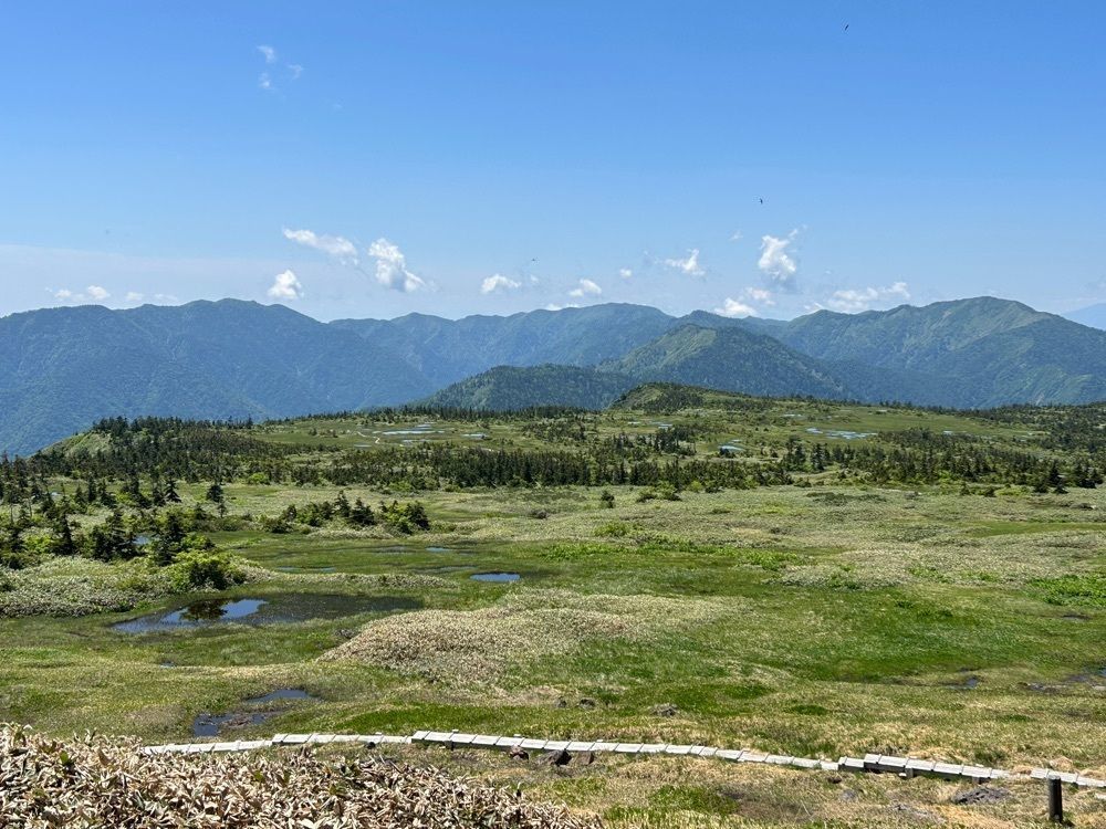 bright_beach_5e78さんが投稿した苗場山・祓川登山口／元橋登山口に関する口コミの画像