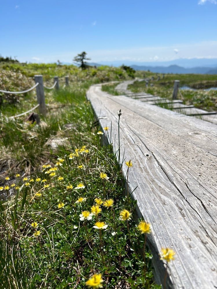 bright_beach_5e78さんが投稿した苗場山・祓川登山口／元橋登山口に関する口コミの画像