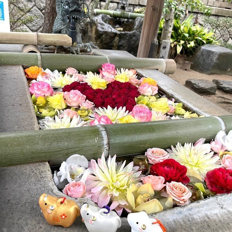 ミキティーさんが投稿した創造の森林公園に関する口コミの画像