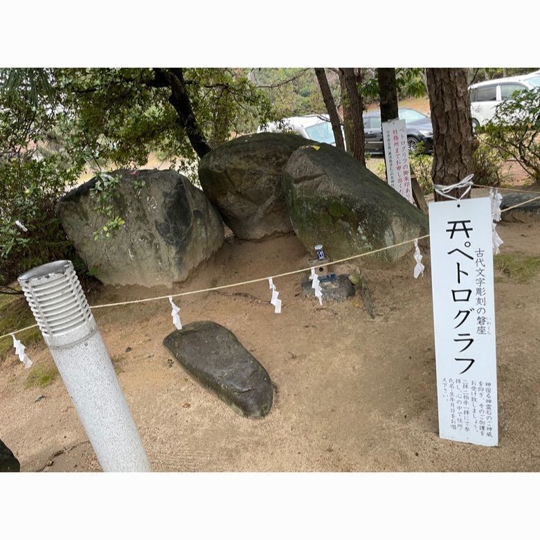 ミキティーさんが投稿した創造の森林公園に関する口コミの画像
