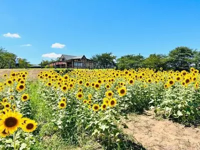 東松山市農林公園