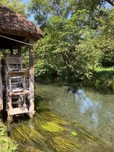 大王わさび農場(大王神社付近)