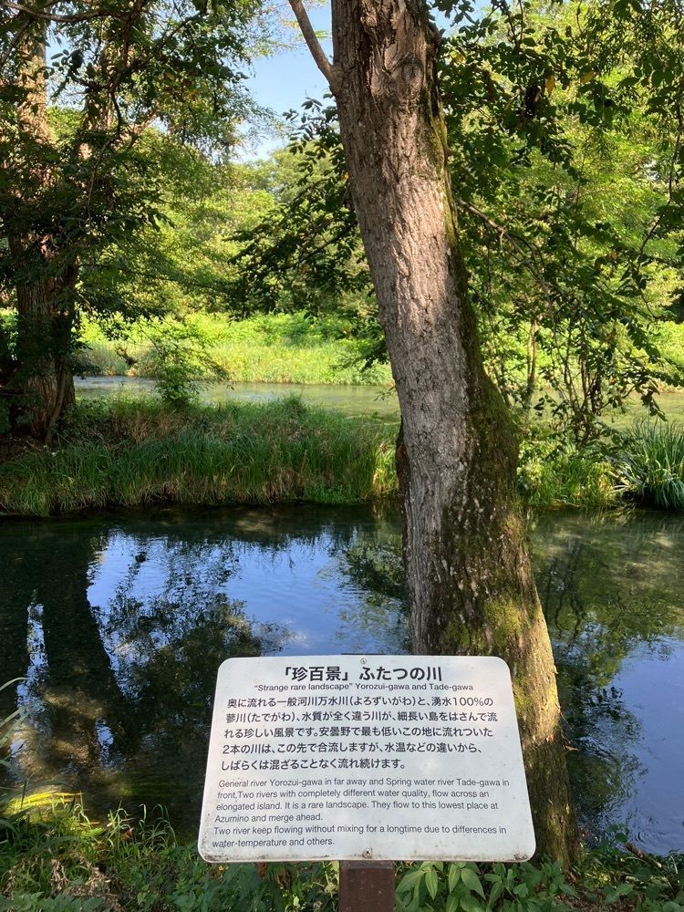 Nさんが投稿した大王わさび農場(大王神社付近)に関する口コミの画像